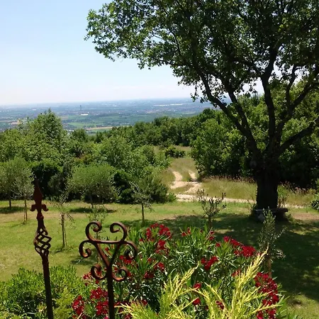 Romy Rocker Bed & Breakfast